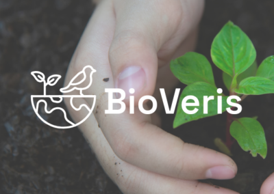 Das Logo des Innovationsnetzwerks BioVeris. Grüne Pflanze, Hände die in Erde graben und einem weißen Vogel