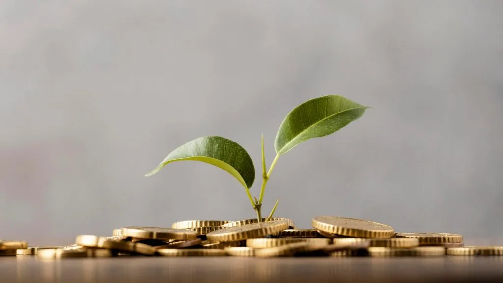 Innovationsprogramm f&uuml;r Gesch&auml;ftsmodelle und Pionierl&ouml;sungen